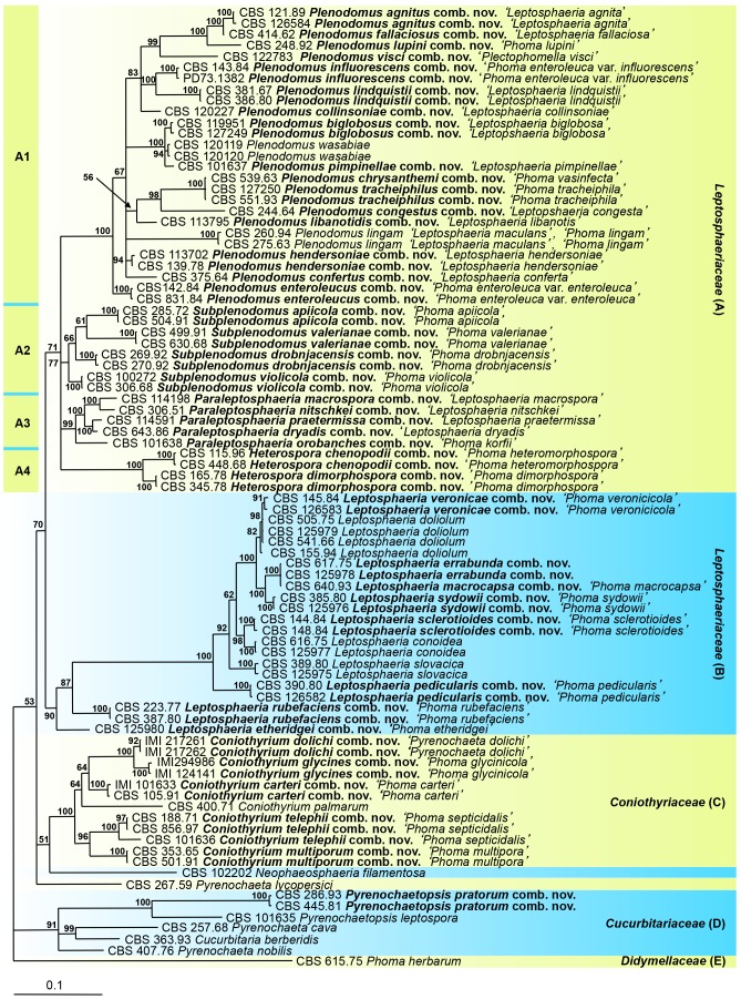 Fig. 2.