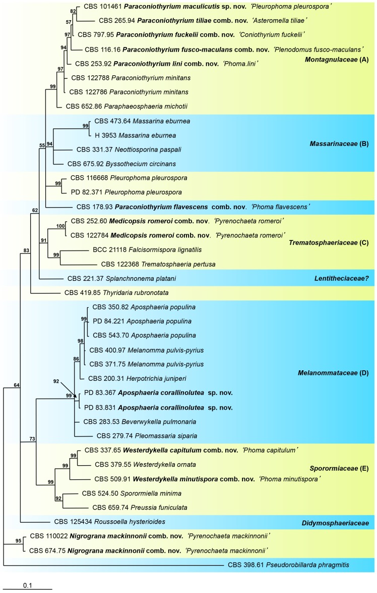 Fig. 5.