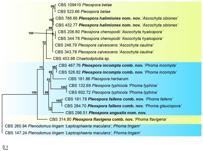 Fig. 4.