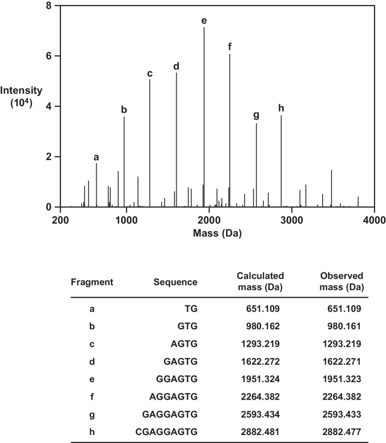 Figure 2—figure supplement 1.