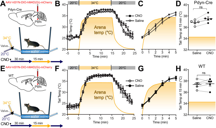 Figure 5—figure supplement 1.