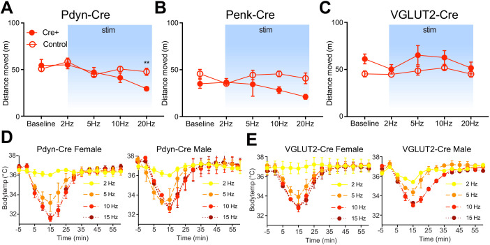 Figure 6—figure supplement 1.