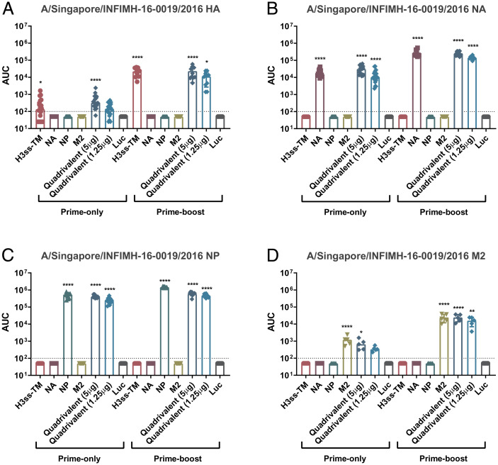 Assessment of a quadrivalent nucleoside-modified mRNA vaccine that ...