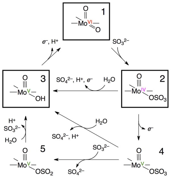 Scheme 1