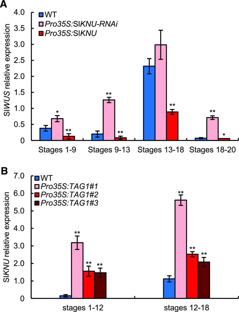 Figure 6.