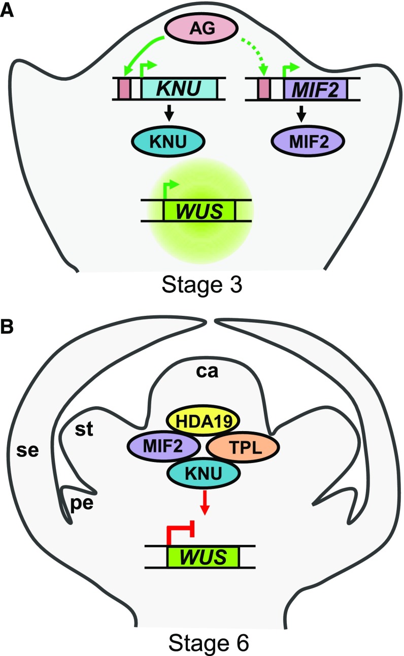 Figure 10.