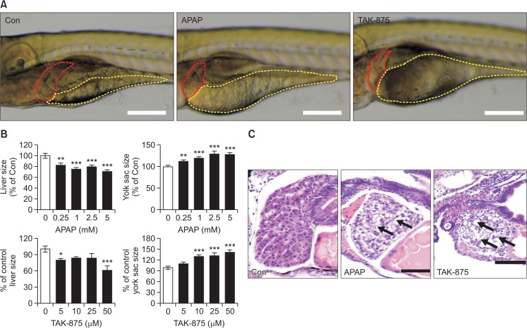 Fig. 8.