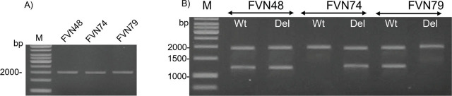 Figure 2.