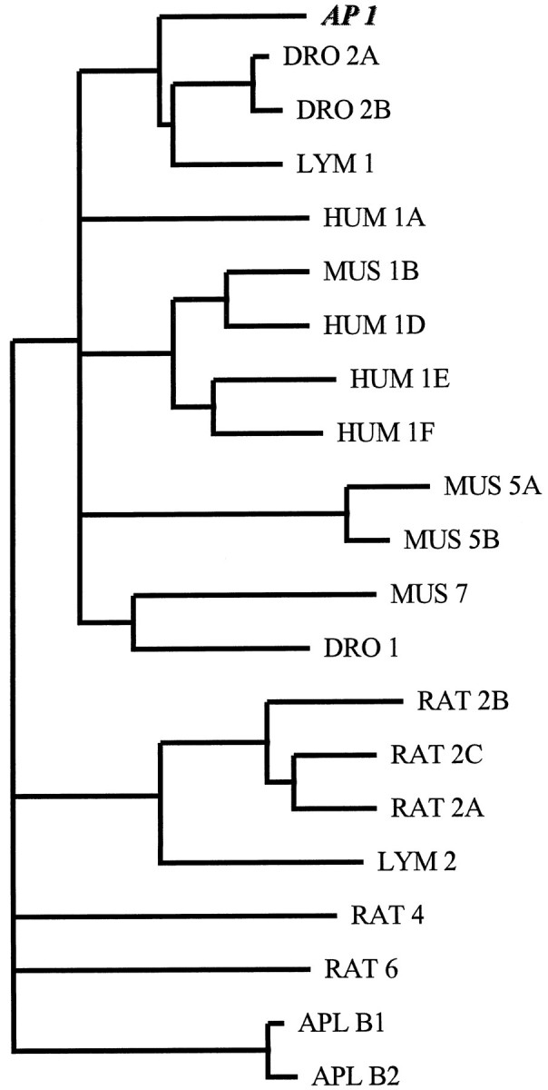 Fig. 3.