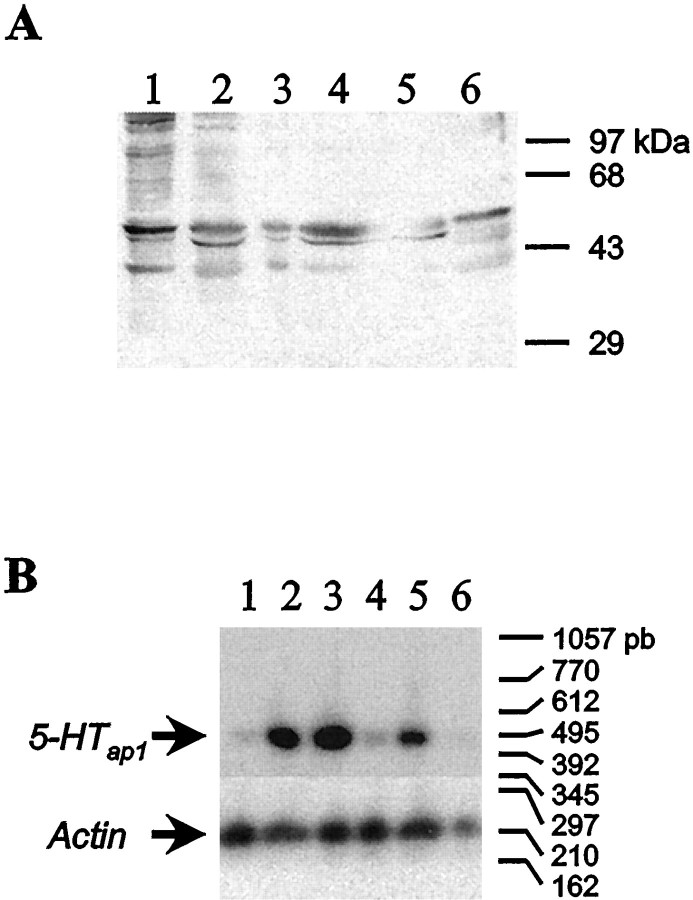 Fig. 9.