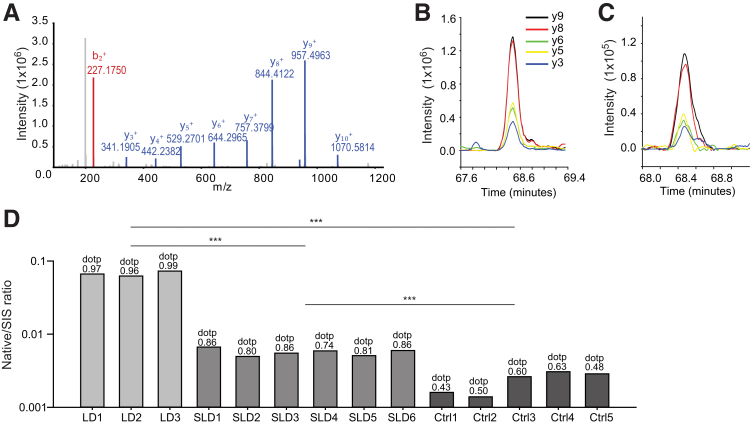 Figure 6