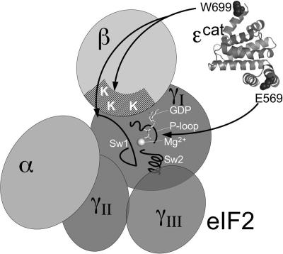 FIG. 7.