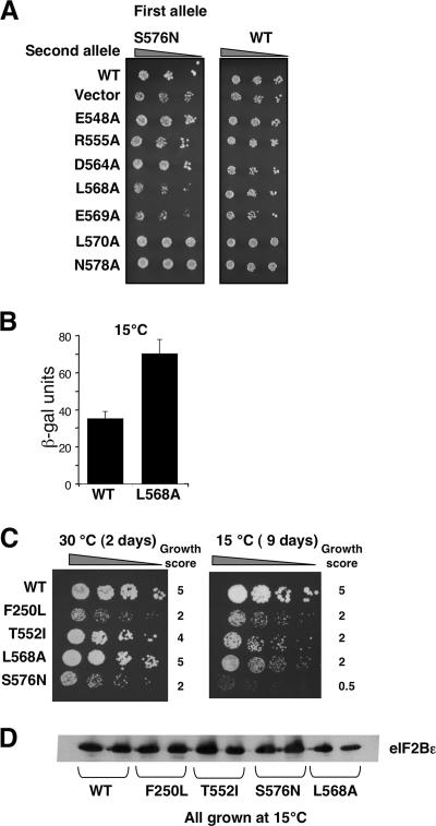 FIG. 3.