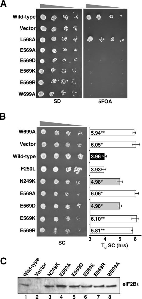 FIG. 5.