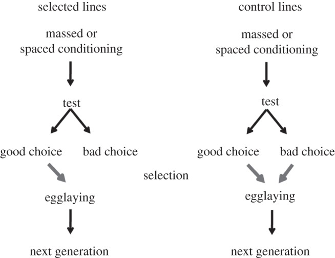 Figure 1.