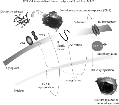 Fig. 4