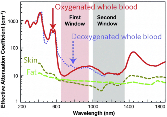 Figure 1