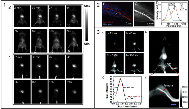 Figure 6