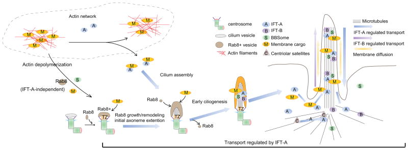 Figure 7