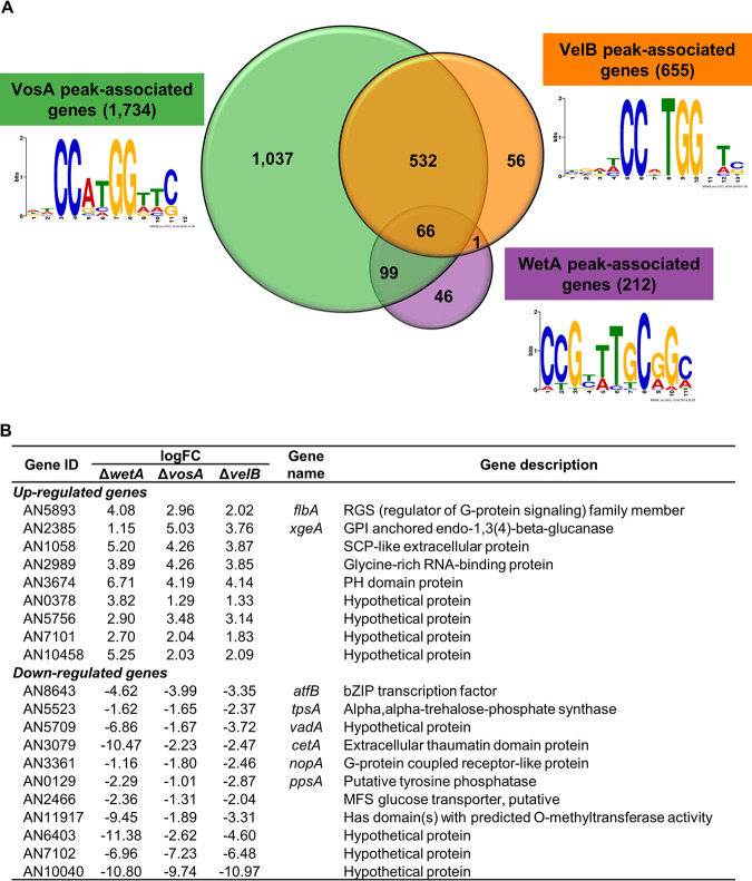 FIG 2