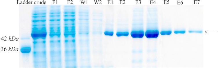 Figure 4.