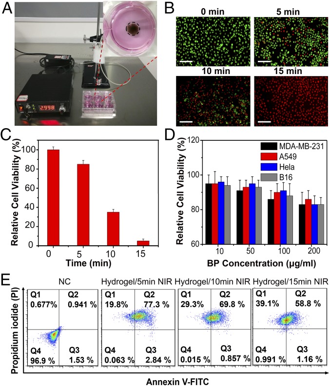 Fig. 4.