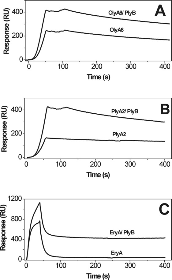 Figure 2