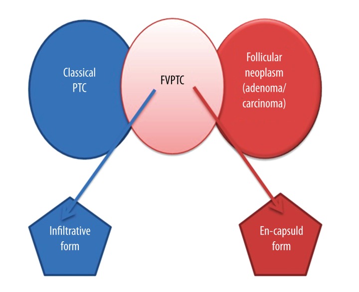 Figure 14.