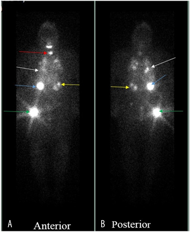 Figure 13.