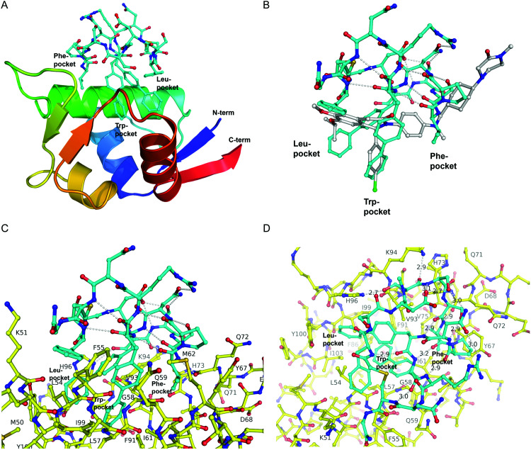 Fig. 2