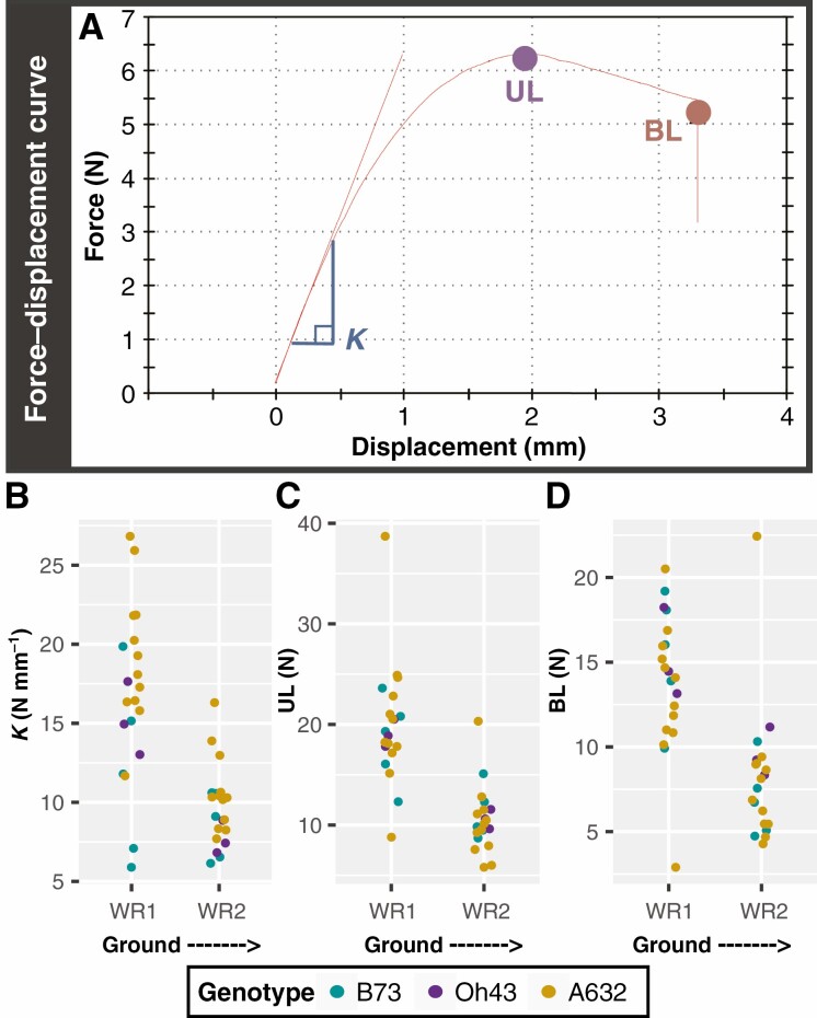 Fig. 2.