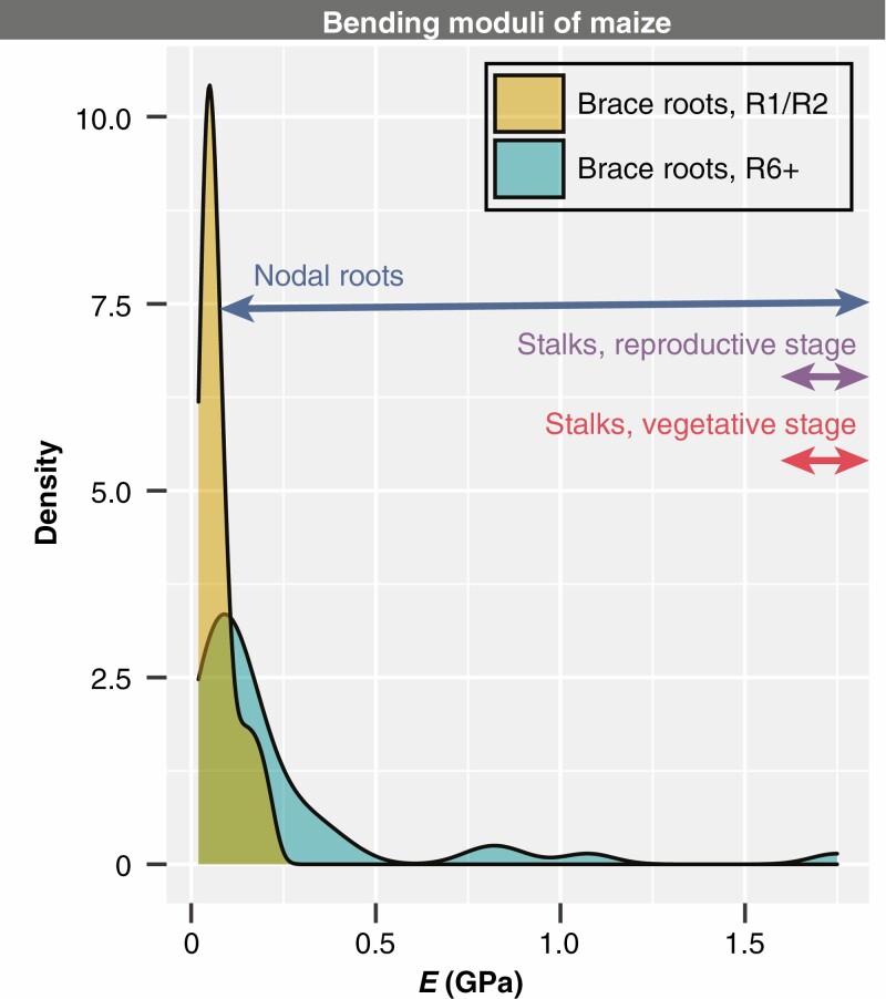 Fig. 7.