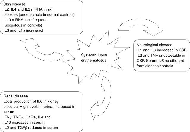 Figure 1  