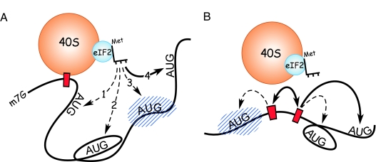 Fig. 5.