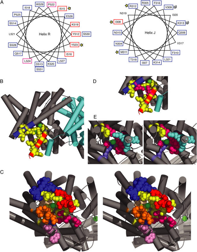 Figure 9. 