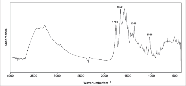 Figure 2: