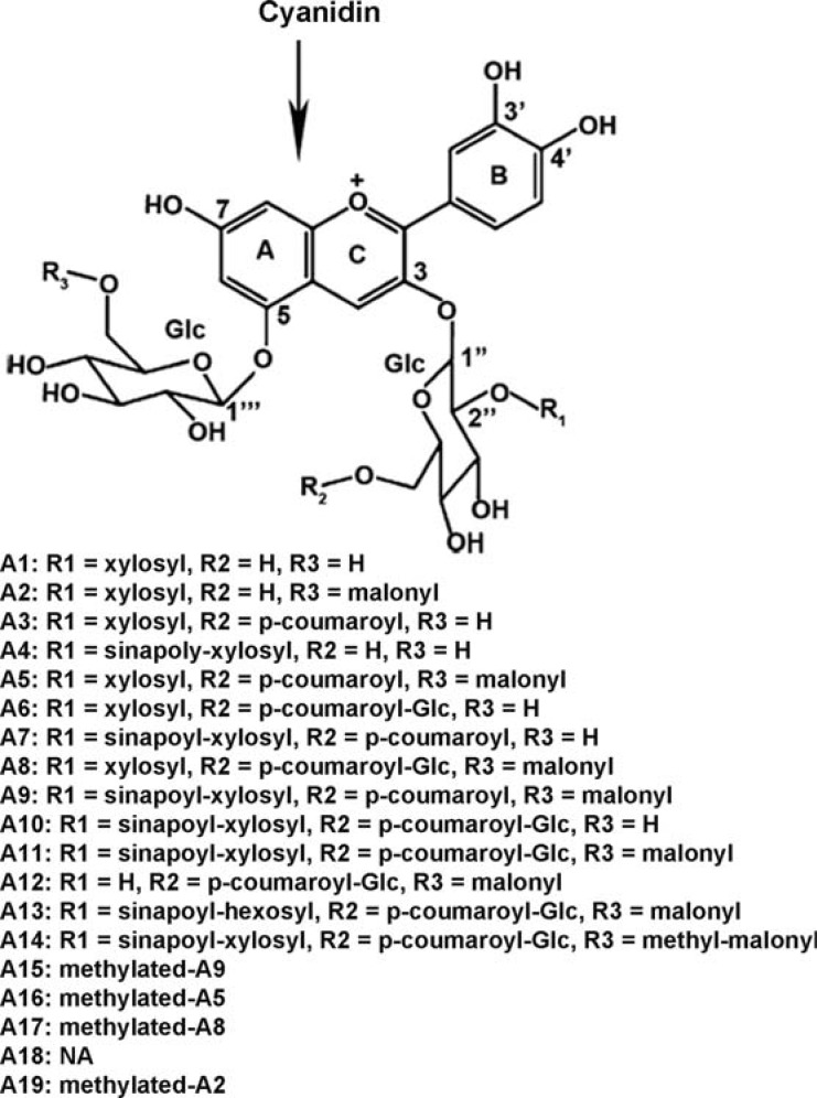 Fig. (1)