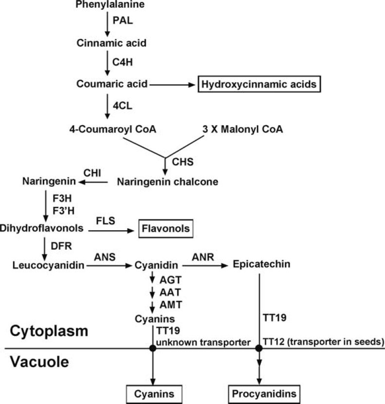 Fig. (2)