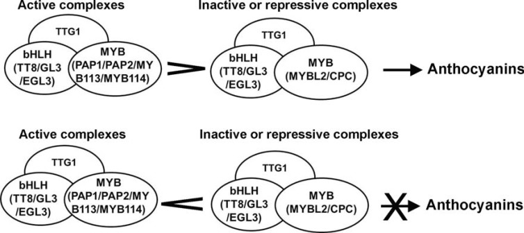 Fig. (3)