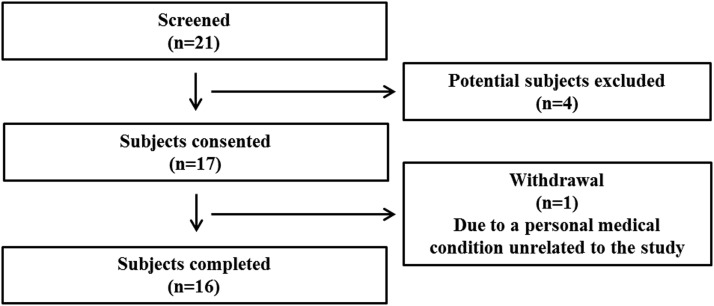 FIGURE 1