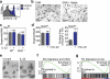 Extended Data Figure 2