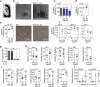 Extended Data Figure 1