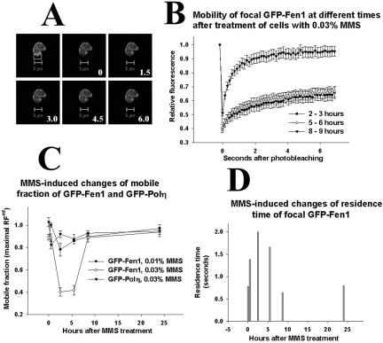 Figure 6.