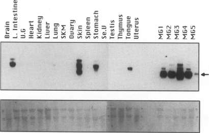 FIG. 3