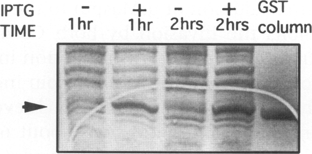 FIG. 7