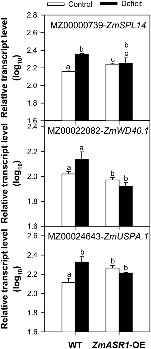 Figure 5.