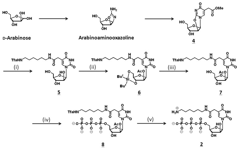 Scheme 1