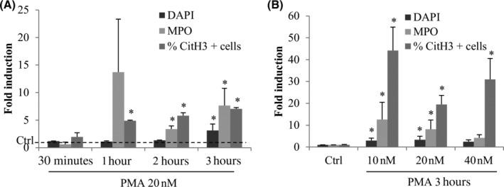 FIGURE 3