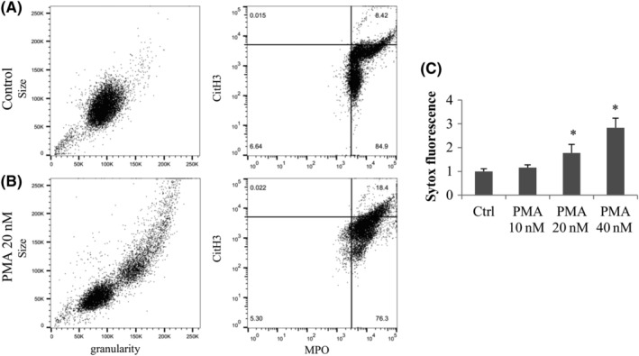 FIGURE 4