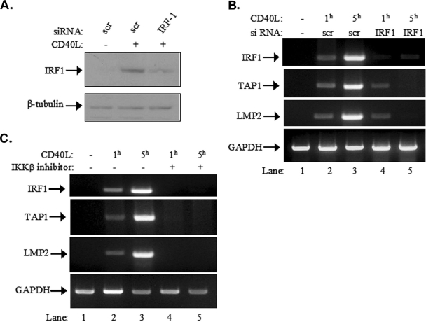 FIG. 9.